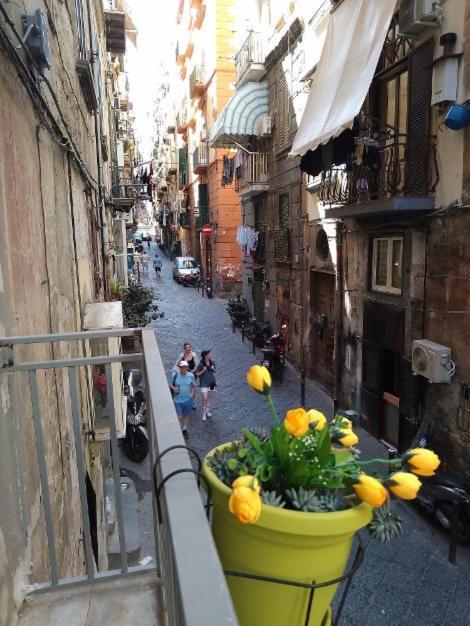 شقة La Conchiglia Napoli المظهر الخارجي الصورة