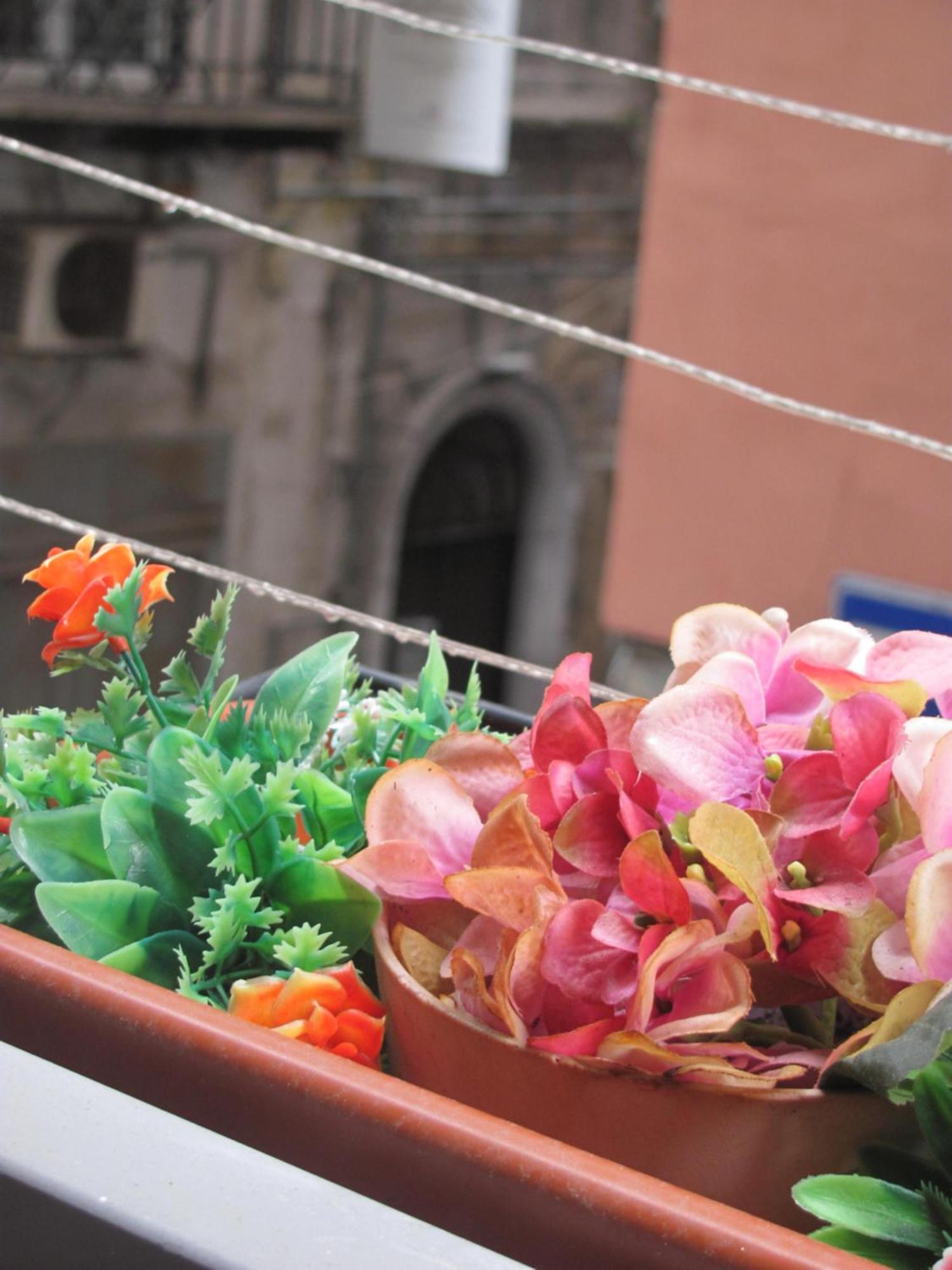 شقة La Conchiglia Napoli المظهر الخارجي الصورة